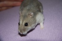 /album/zverinec-vi-d/img-2902-1-jpg/